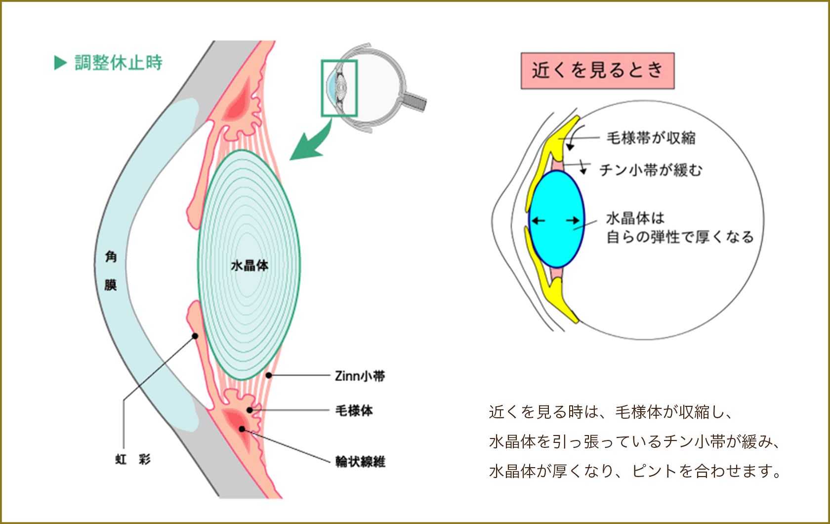 調節について